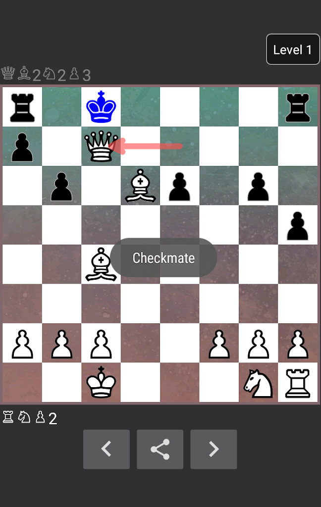 one player chess game